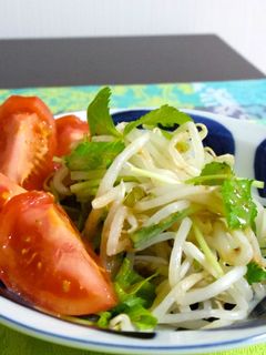 もやしと三ツ葉でサラダ-レシピのメイン写真