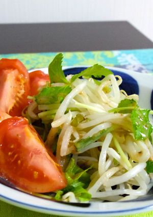 もやしと三ツ葉でサラダ-レシピのメイン写真