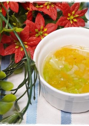 離乳食中期 にんじんと大根とキャベツ汁-レシピのメイン写真
