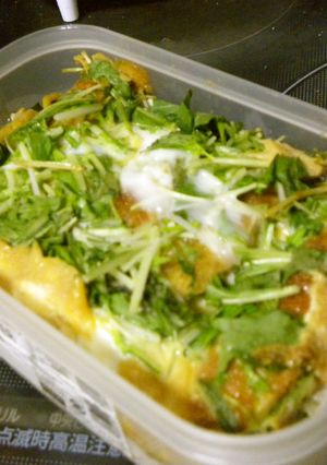 お弁当☆カツ丼-レシピのメイン写真