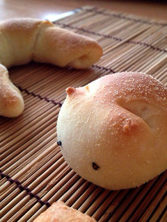 パン.フォカッチャ.ピザ(手ごね.HB-レシピのメイン写真