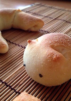 パン.フォカッチャ.ピザ(手ごね.HB-レシピのメイン写真