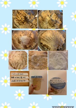 『手作り味噌』少量！！出来上がり1kg-レシピのメイン写真
