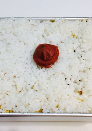 野球少年の花粉症対策 重ね重ね弁当！-レシピのメイン写真