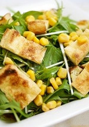 カリカリ揚げと水菜のサラダ-レシピのメイン写真