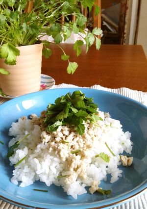 ビックリする程簡単なタイグリーンカレー風-レシピのメイン写真