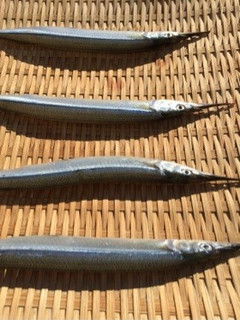 魚の天日干し-レシピのメイン写真