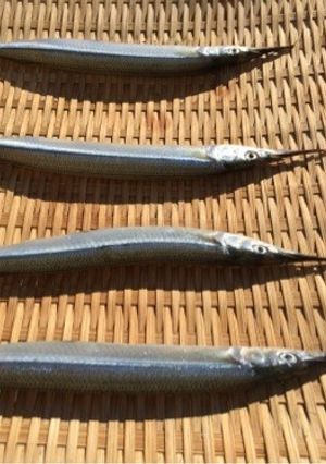 魚の天日干し-レシピのメイン写真