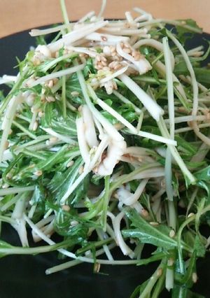 胡麻香る簡単サラダ-レシピのメイン写真