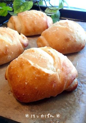 バターたっぷり✿フランス塩ロール-レシピのメイン写真
