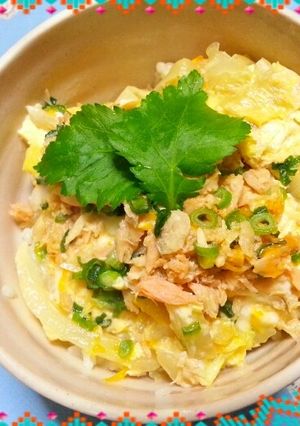 白菜と鮭でアンチエイジング丼-レシピのメイン写真