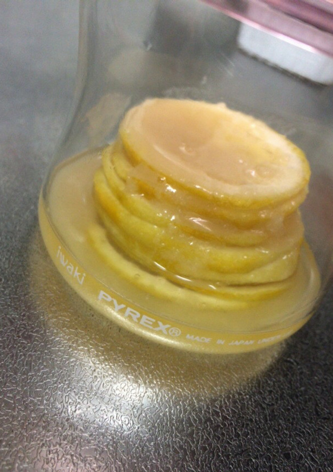 はちみつれもん-レシピのメイン写真