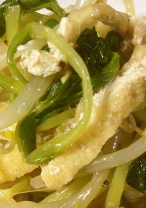 ✾豆苗の油炒め-レシピのメイン写真