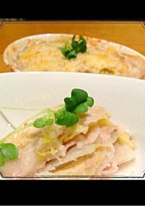白菜のグラタン-レシピのメイン写真
