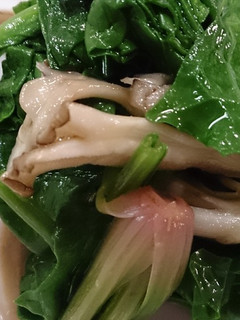 ほうれん草と舞茸のお浸し-レシピのメイン写真