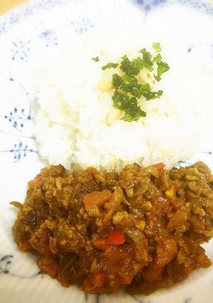 手軽に本格派ドライカレー-レシピのメイン写真