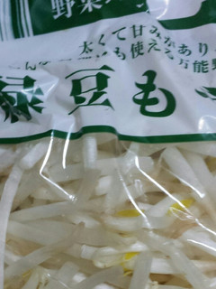 もやしの保存-レシピのメイン写真