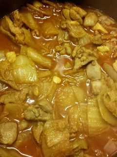 白菜カレー-レシピのメイン写真