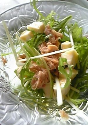 シンプル水菜サラダ♪-レシピのメイン写真
