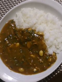栄養満点ほうれん草と大豆入りカレー-レシピのメイン写真