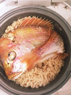 お祝いの塩焼きで♪鯛めし-レシピのメイン写真