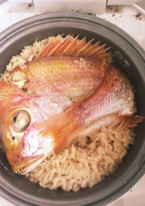 お祝いの塩焼きで♪鯛めし-レシピのメイン写真