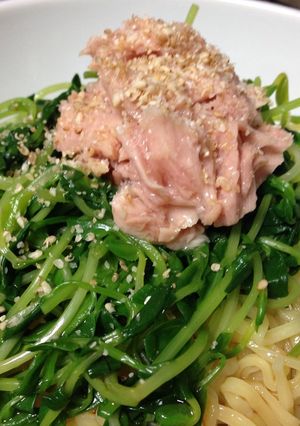 豆苗とツナの冷やし麺-レシピのメイン写真