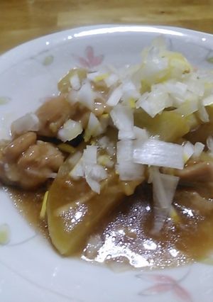 鶏肉と大根のオイスターソース煮-レシピのメイン写真
