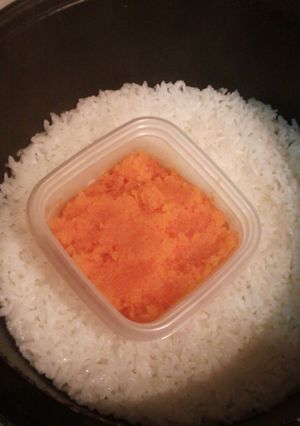 離乳食食材炊飯器で　初期～中期　にんじん-レシピのメイン写真