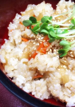 簡単モチッ♪きんぴら大根 炒めご飯-レシピのメイン写真