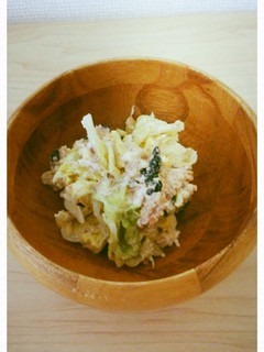 白菜の海苔マヨサラダ-レシピのメイン写真