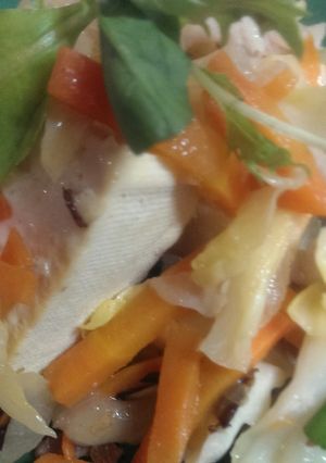 豆腐に野菜と豚小間切れのっけもり♪-レシピのメイン写真