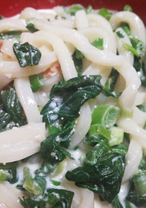 クリーム明太うどん-レシピのメイン写真
