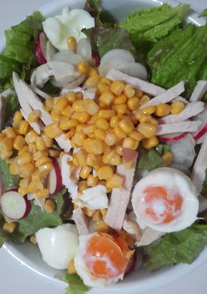 サラダ仕立ての正麺-レシピのメイン写真