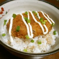 基本からアレンジまで！思わずつくりたくなる「コロッケ丼 -卵