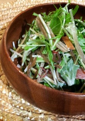 リメイク・水菜ときんぴらごぼうサラダ-レシピのメイン写真