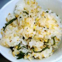 基本からアレンジまで！思わずつくりたくなる「かやくご飯 簡単」の