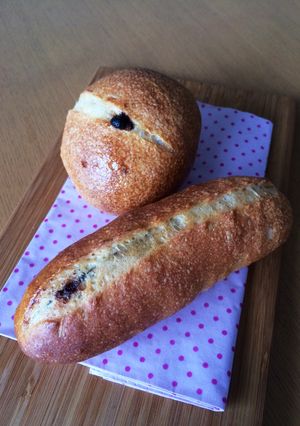 パリッとチョコフランス-レシピのメイン写真