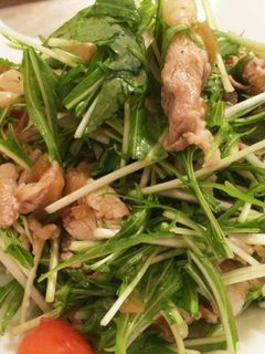 冷しゃぶ豚入りさっぱり水菜のサラダ-レシピのメイン写真