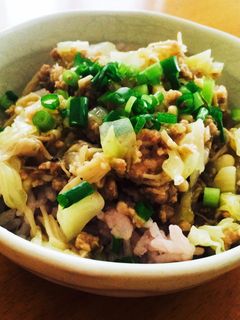 豚挽肉の中華風-レシピのメイン写真