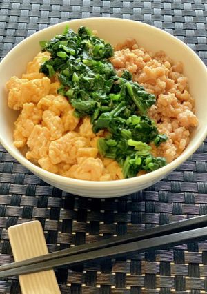 甘すぎない濃すぎない三色丼-レシピのメイン写真