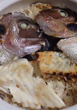 鯛めし-レシピのメイン写真