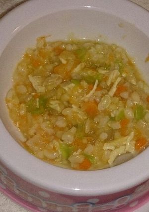ワンちゃんの野菜とむね肉のリゾット風-レシピのメイン写真