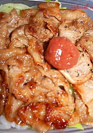 お弁当に最適♪花椒梅豚丼-レシピのメイン写真
