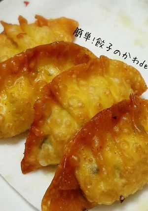 簡単!餃子の皮deアレンジレシピ-レシピのメイン写真