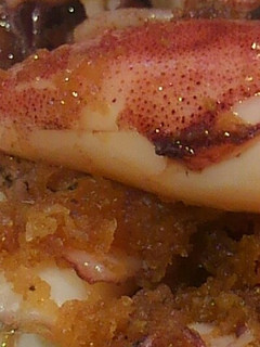 小いか焼き煮-レシピのメイン写真