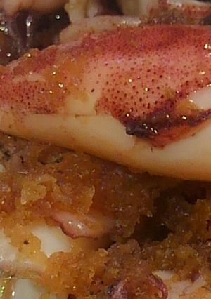 小いか焼き煮-レシピのメイン写真