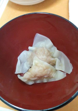 お肉と豆腐のワンタン～離乳食にも～-レシピのメイン写真