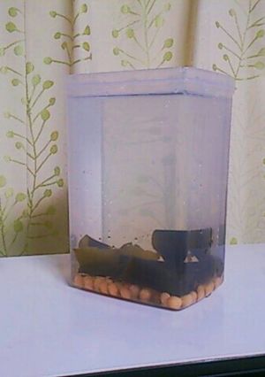楽!昆布ダシ 【下準備ｼﾘｰｽﾞ】-レシピのメイン写真