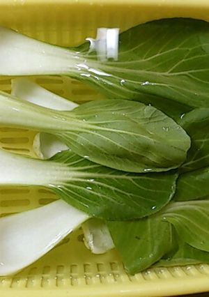 楽!緑野菜の下準備【下準備ｼﾘｰｽﾞ】-レシピのメイン写真